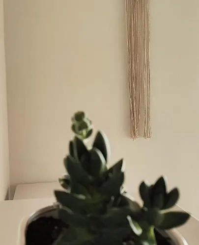 Noa Апартаменты