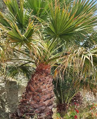 Noa Апартаменты